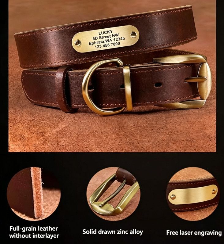 Premium Genuine Leather Dog Collar/Durable Real Leather Adjustable Collars For Male Female(XXL,Black) V1188-MS-430-1674-23