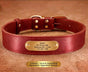 Premium Genuine Leather Dog Collar/Durable Real Leather Adjustable Collars For Male Female(S,Red) V1188-MS-430-1674-7