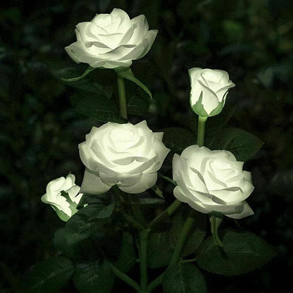 Solar Rose Flower Lights for Outdoor Garden Decor, White V1188-MS-520-077
