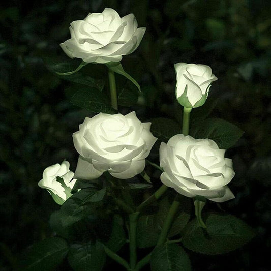 Solar Rose Flower Lights for Outdoor Garden Decor, White V1188-MS-520-077