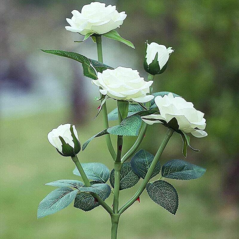 Solar Rose Flower Lights for Outdoor Garden Decor, White V1188-MS-520-077