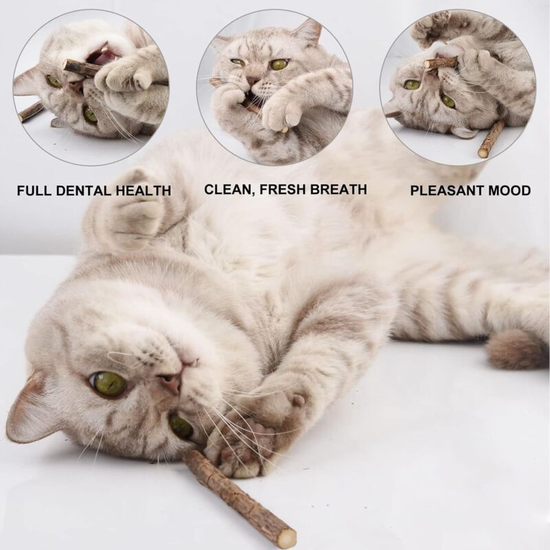 10 Pack Matatabi Sticks for Cats, Natural Dried Catnip Chew Toy V1188-MS-520-082