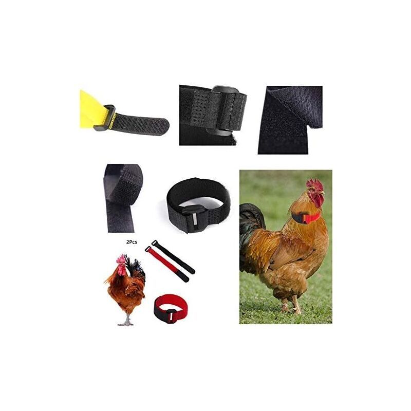 2 Pack Adjustable Chicken Collar, Anti Crow Rooster Collar V1188-MS-520-096