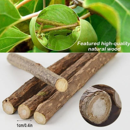 30 Pack Natural Matatabi Catnip Sticks for Dental Treats V1188-MS-520-099
