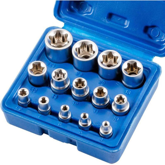 14 Piece E Torx Socket Set, E4 to E24 Hex Female Torx Wrench Socket and Bit V1188-MS-520-100