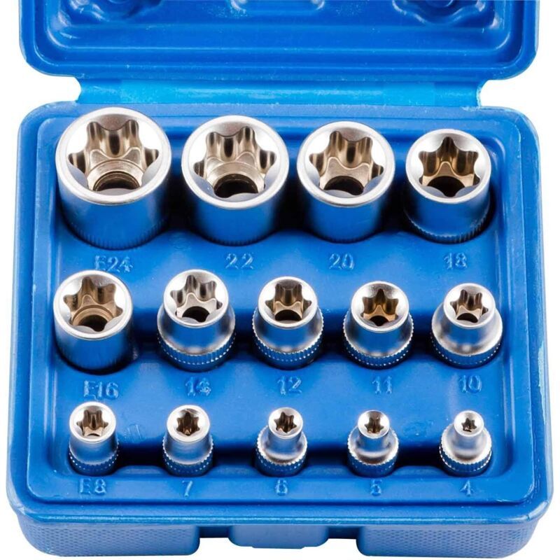 14 Piece E Torx Socket Set, E4 to E24 Hex Female Torx Wrench Socket and Bit V1188-MS-520-100