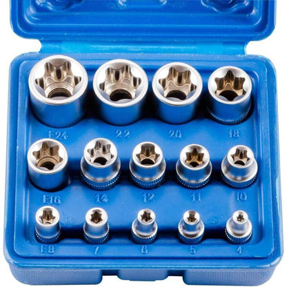 14 Piece E Torx Socket Set, E4 to E24 Hex Female Torx Wrench Socket and Bit V1188-MS-520-100