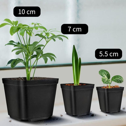 100 Pieces Plastic Square Nursery Seedling Pots Reusable, 7 cm V1188-MS-527-076