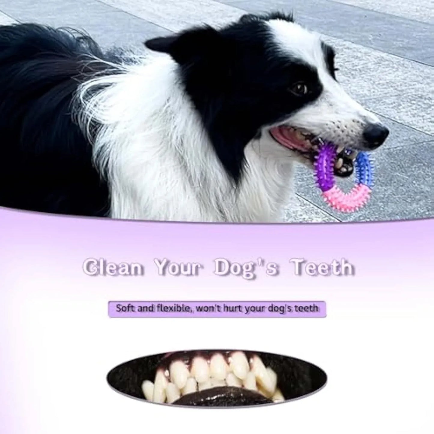 Dog Chew Ring Toy Rubber Puppy Teething Toy, Blue Pink Purple V1188-MS-611-040