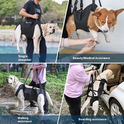 Dog Support Harness Oxford Cloth Mobility Assistance Strap, Black,XL V1188-MS-611-059
