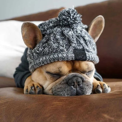 Dog Hat Knitted Windproof Winter Pom Hat, Black, L V1188-MS-611-103