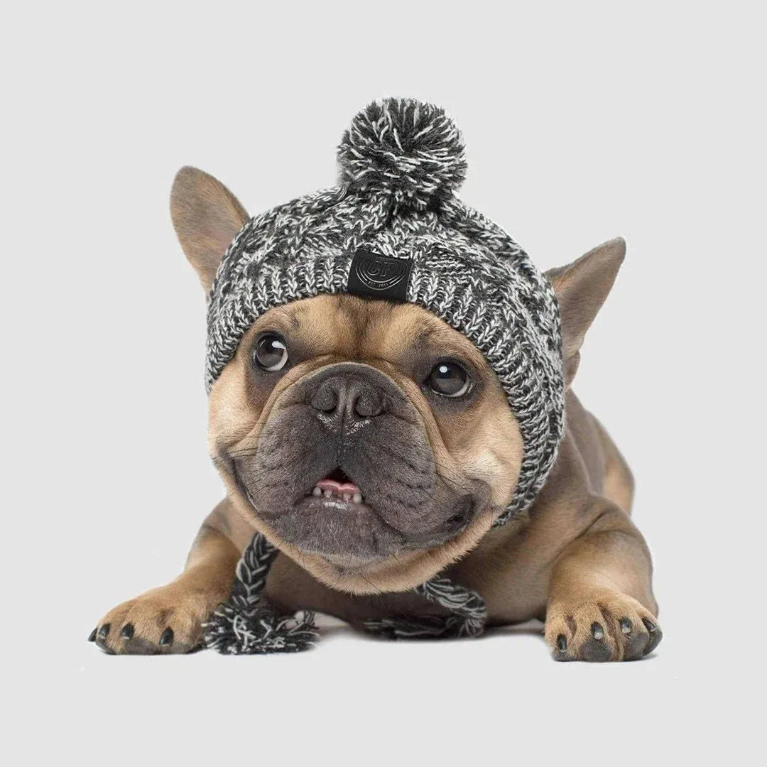 Dog Hat Knitted Windproof Winter Pom Hat, Black, L V1188-MS-611-103