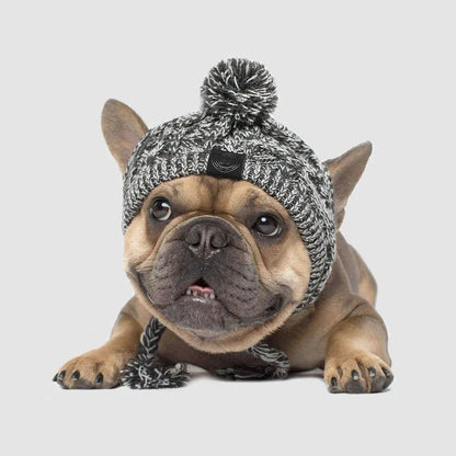Dog Hat Knitted Windproof Winter Pom Hat, Black, L V1188-MS-611-103