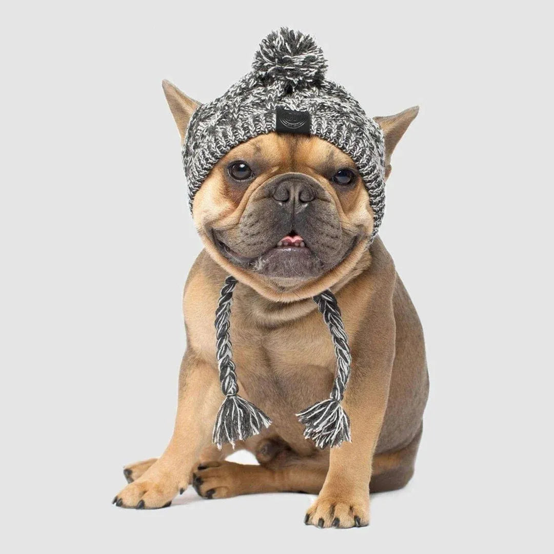 Dog Hat Knitted Windproof Winter Pom Hat, Black, M V1188-MS-611-104