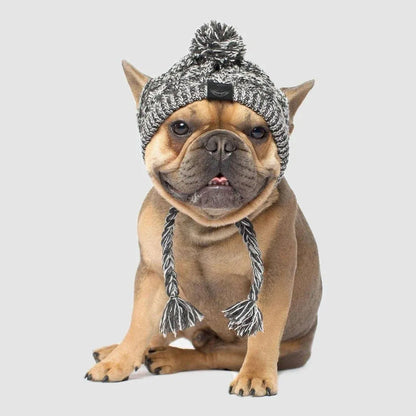Dog Hat Knitted Windproof Winter Pom Hat, Black, M V1188-MS-611-104