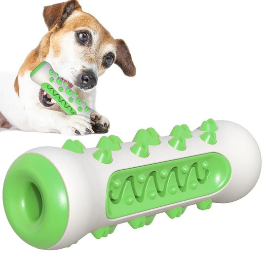 Tough Dog Chew Toy for Aggressive Chewers, Rubber Squeaky Toothbrush Toy, Green V1188-MS-617-117