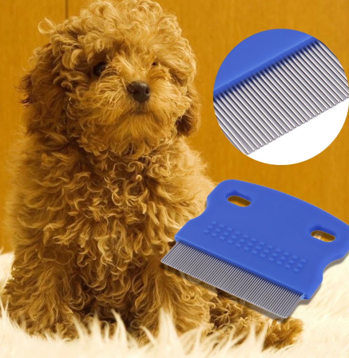 Lice Comb | Lice Brush | Flea Comb | Nits Comb | Lice Remover | Stainless Steel Brushes | Plastic Barrel | V1188-MS101-00242-1