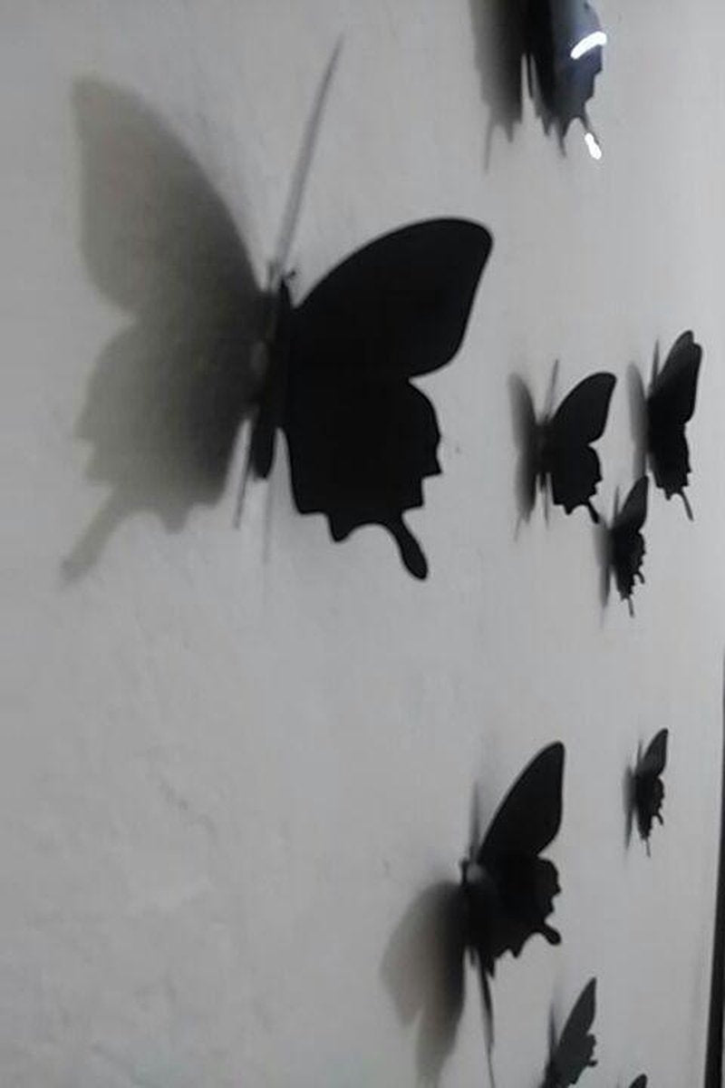 Solid black 3D butterflies V1188-MS101-00259-1
