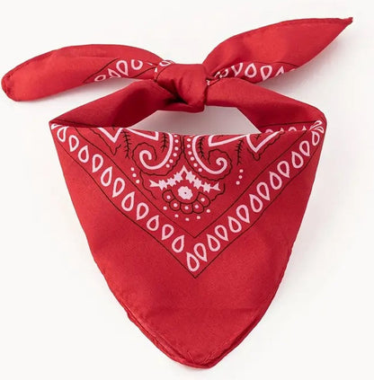 Bandana | Unisex | Farmer's Handkerchief | Headband | Red V1188-MS101-00298-1