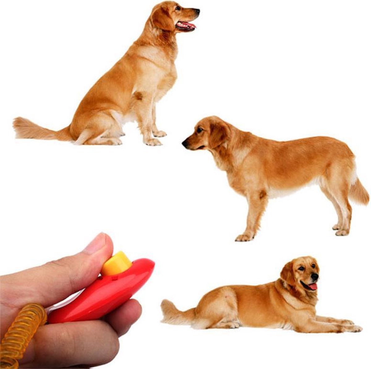 Handy clicker for clicker training - Blue V1188-MS101-00596-1