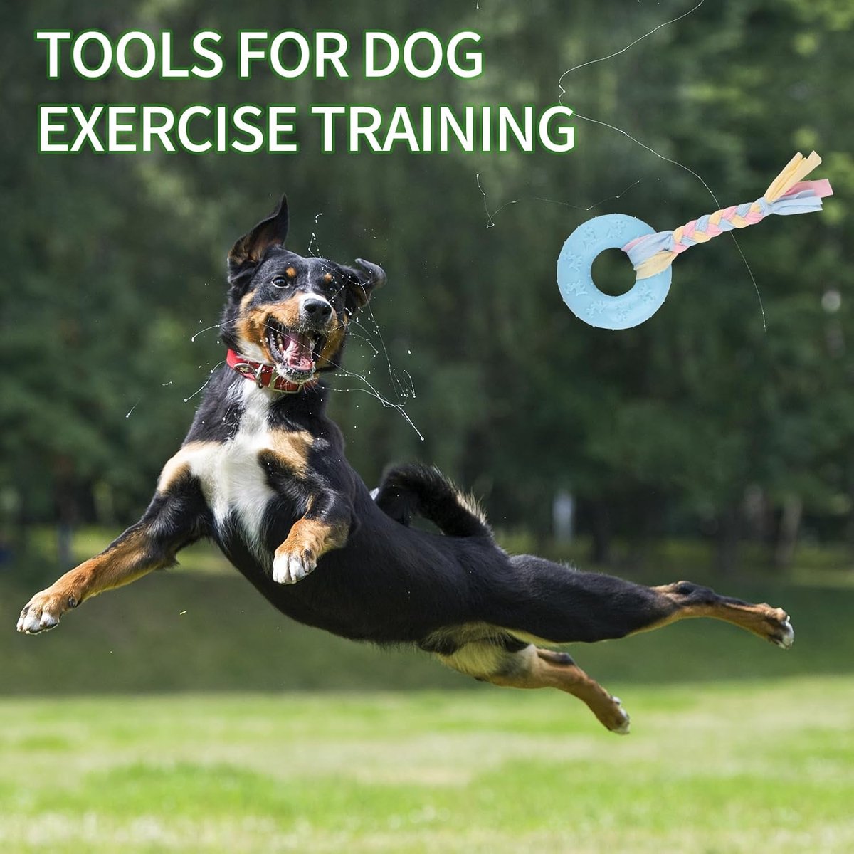 4 PCS Puppy Chew Toys - Relieves teething - Soft rubber & rope toys - Durable and interactive - Suitable for V1188-MS101-00637-1