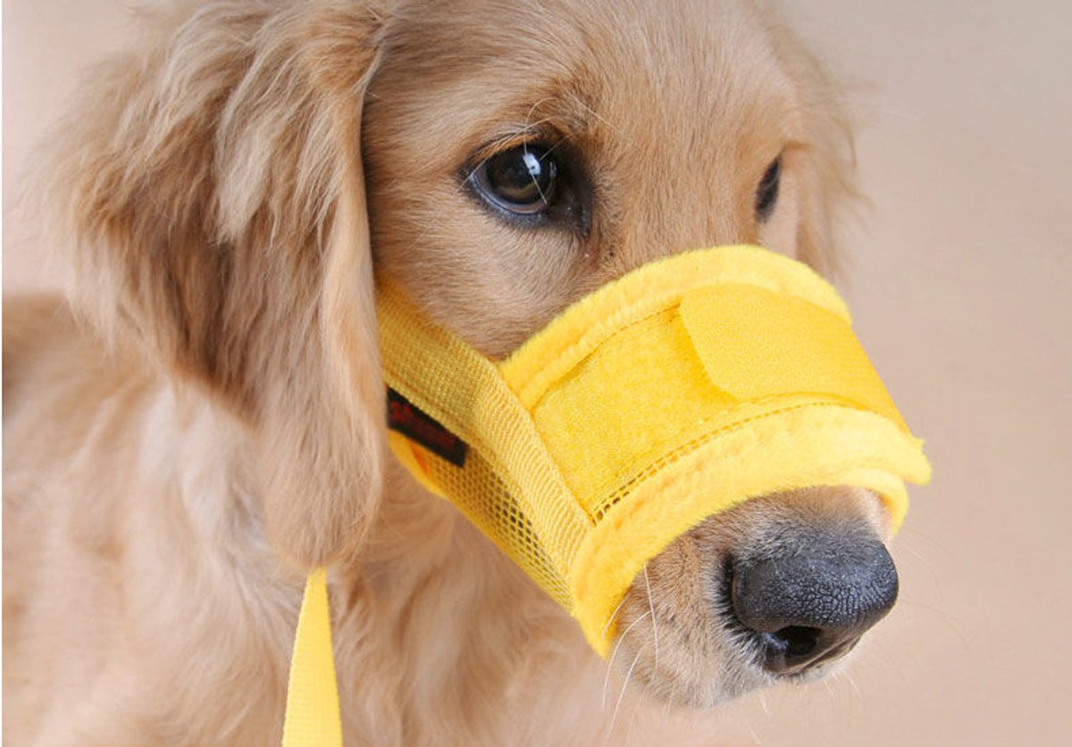 Muzzle for dogs - Soft, breathable - Small dogs, size S yellow V1188-MS101-00679-1