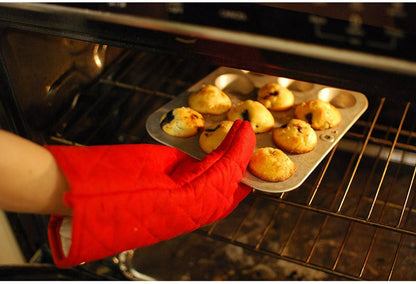 Oven Mitt Set - 1 glove + 1 potholder, red V1188-MS101-00907-1
