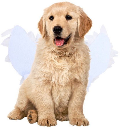 Dog costume M - Realistic wings, festive accessory V1188-MS101-00943-1
