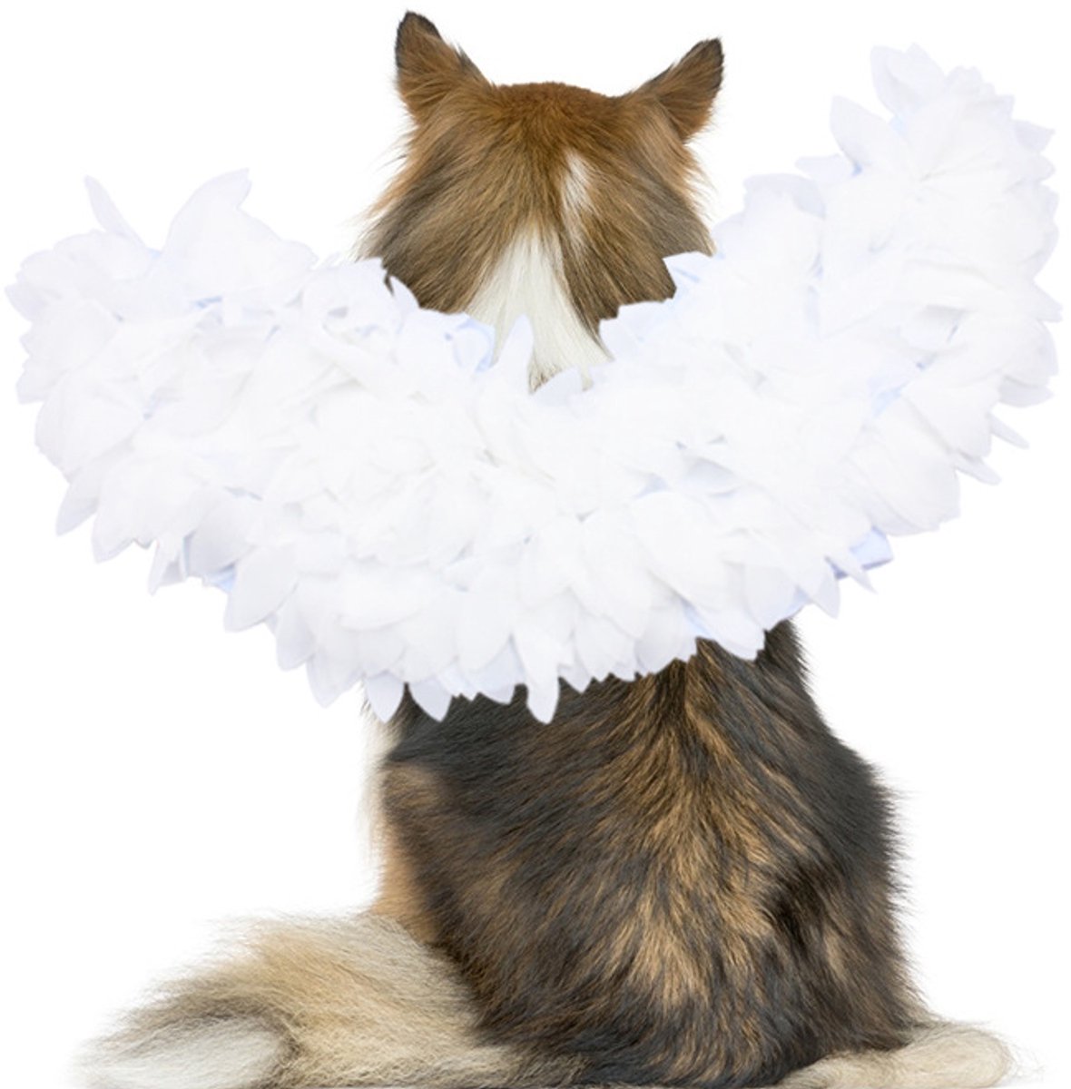 Dog costume M - Realistic wings, festive accessory V1188-MS101-00943-1