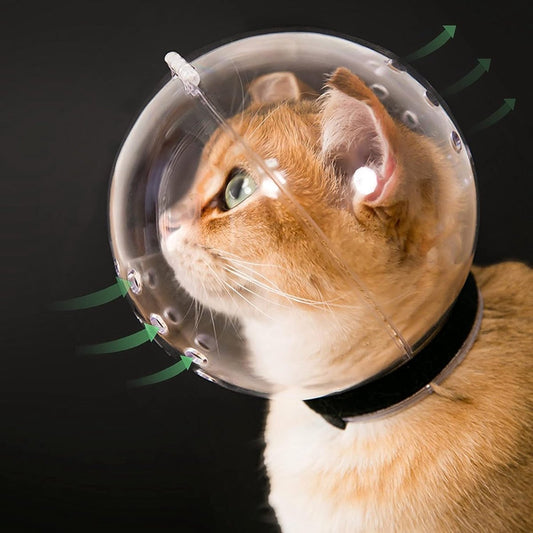 Cat muzzle - With breathable hood - Adjustable astronaut helmet for kittens - Prevents your pet from gnawing V1188-MS101-00980-1