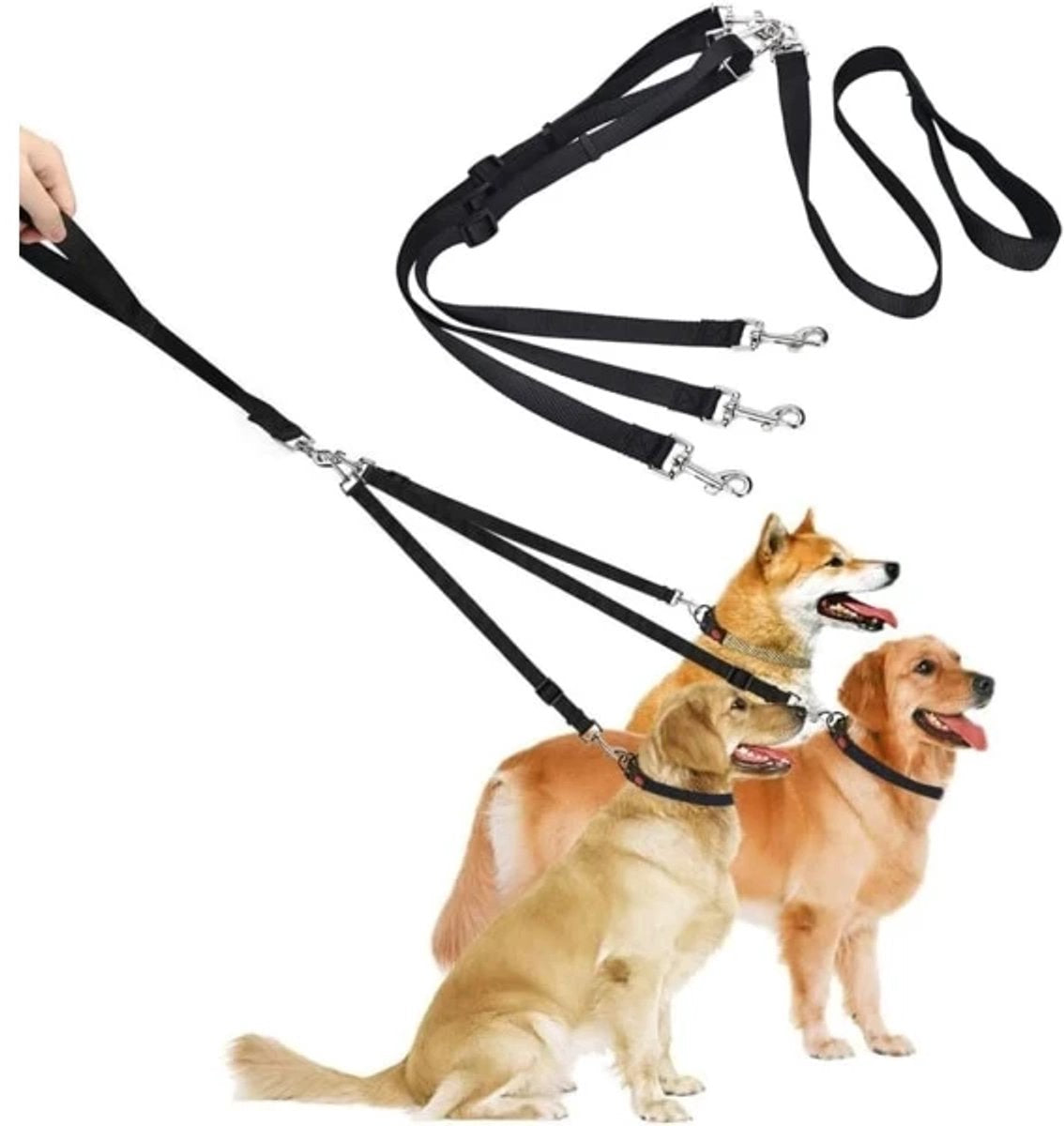3-in-1 Dog Leash - Adjustable, detachable, for medium-sized dogs V1188-MS101-00995-1