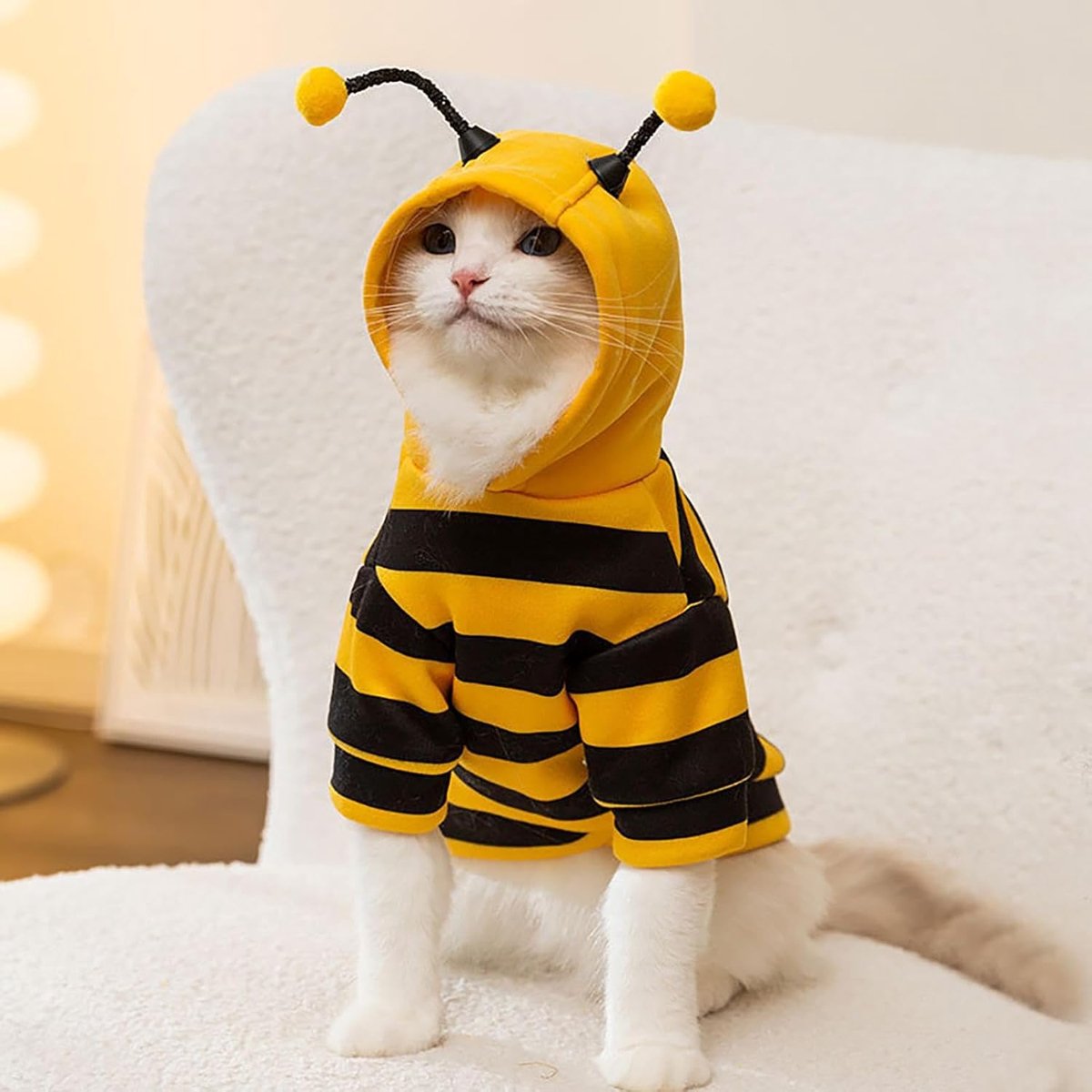 Bee Cat Costume - Small Hooded Set for Dog and Cat - Halloween Pet Costume V1188-MS101-01038-1