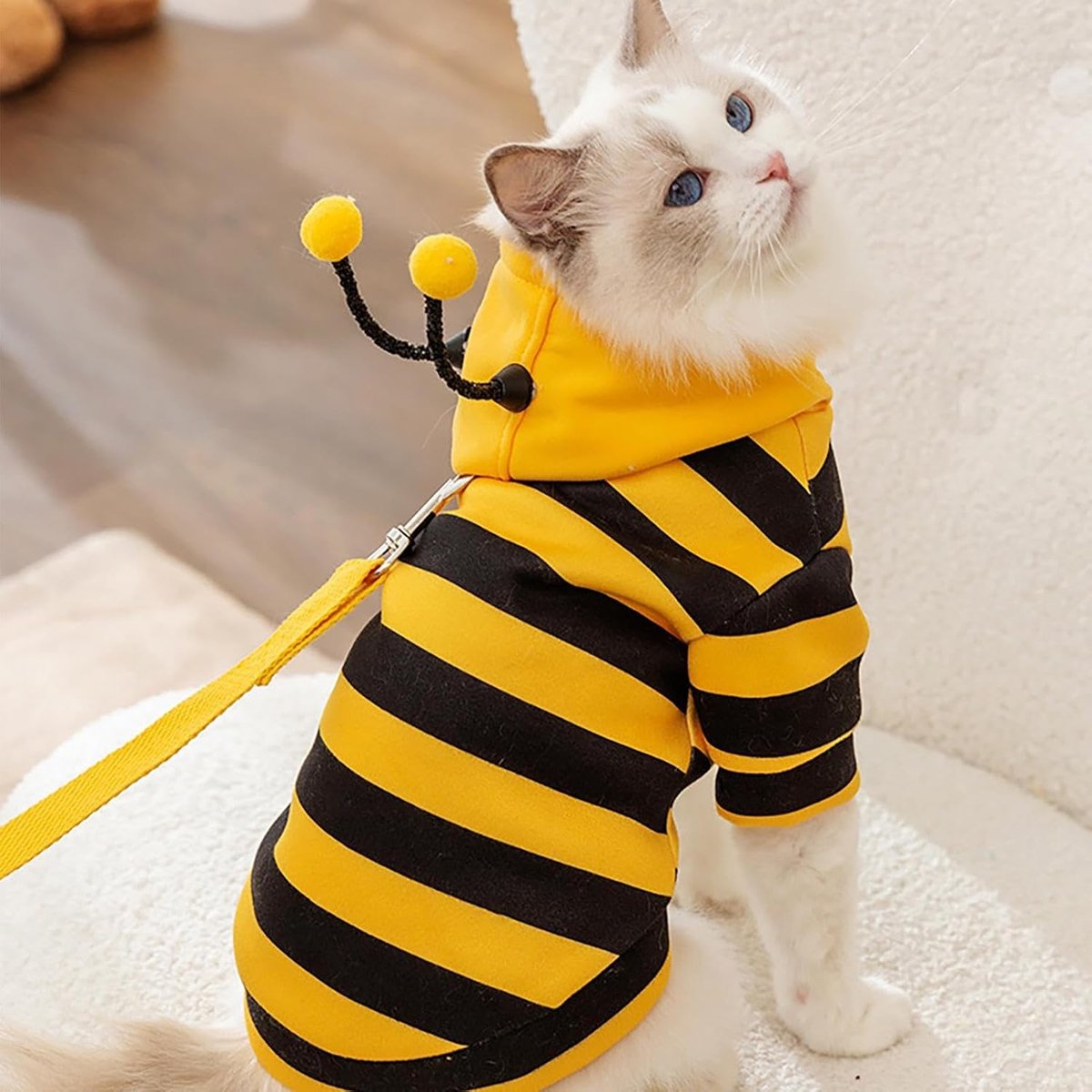 Bee Cat Costume - Small Hooded Set for Dog and Cat - Halloween Pet Costume V1188-MS101-01038-1