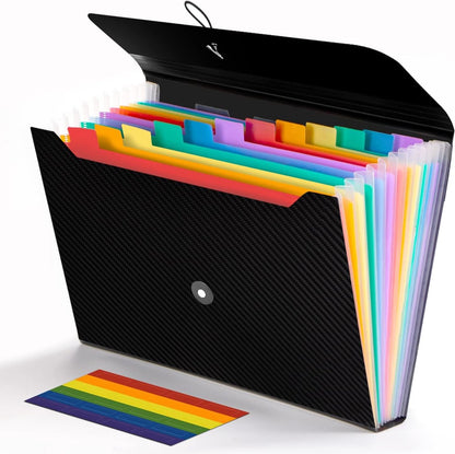 Project Folder - A4 - Foldable File Folder with Tabs - 13 Compartments - Storage Folder/Sorting Folder - V1188-MS101-01138-1