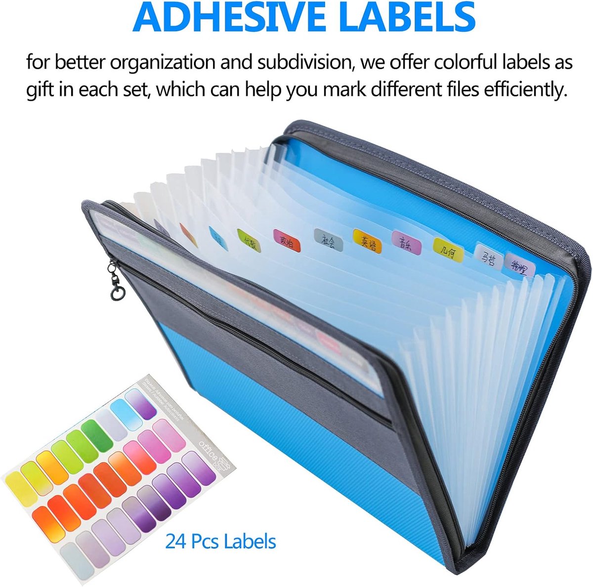 Project Folder - A4 - Foldable File Folder with Tabs - 13 Compartments - Storage Folder/Sorting Folder - V1188-MS101-01239-1