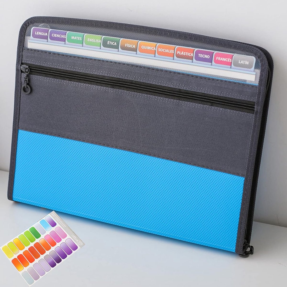 Project Folder - A4 - Foldable File Folder with Tabs - 13 Compartments - Storage Folder/Sorting Folder - V1188-MS101-01239-1