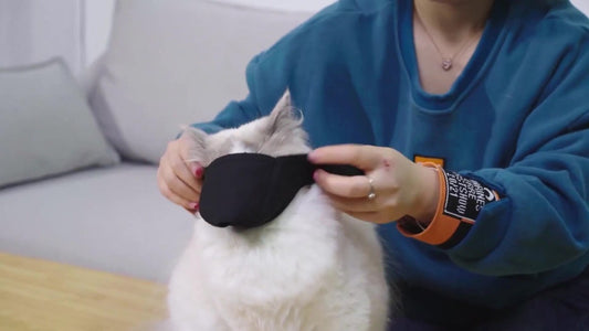 6 Pieces - Breathable Cat Muzzle Size L - Cat Muzzles - Muzzles for Cats and Kittens - Neck Circumference: V1188-MS101-01492-1