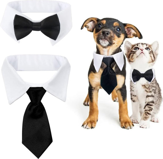 - Animal Costume Set - Luxury Tie and Bow Tie for Animals - Suitable for Dachshunds to Border Collies - V1188-MS101-01497-1
