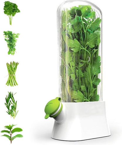 Herb Container - Herbs - Herb Jars - Fresh Keeper - Herb Vanilla Storage Container - BPA-Free - Keep Fresh - V1188-MS101-01539-1