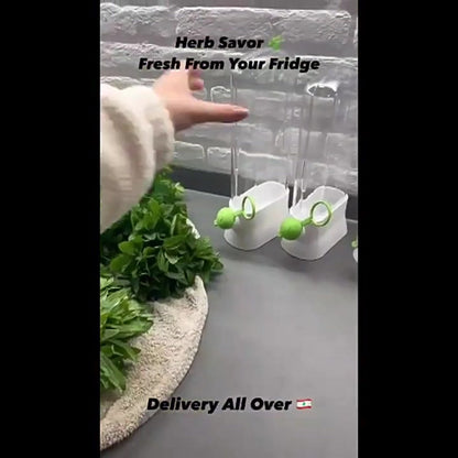 Herb Container - Herbs - Herb Jars - Fresh Keeper - Herb Vanilla Storage Container - BPA-Free - Keep Fresh - V1188-MS101-01539-1