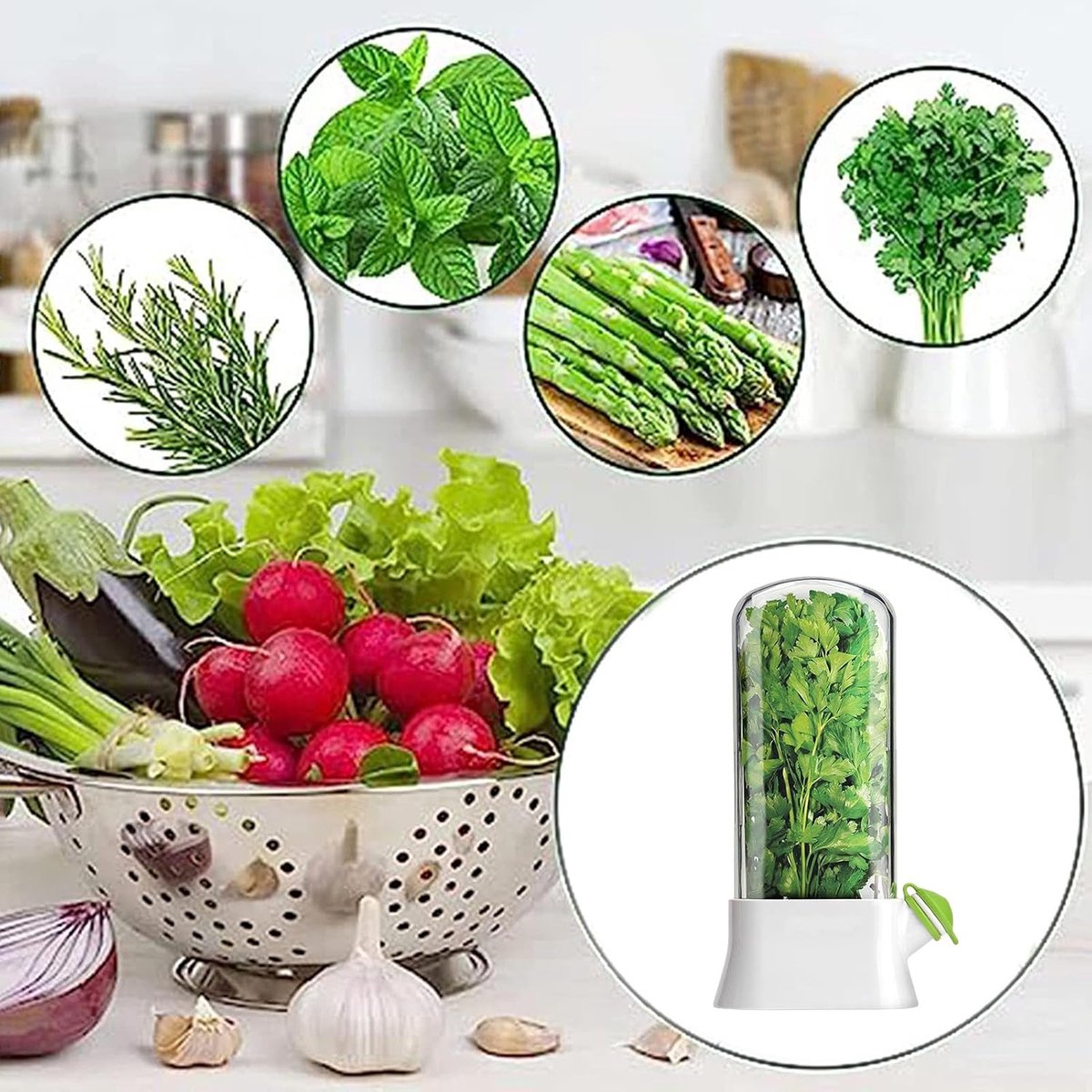 Herb Container - Herbs - Herb Jars - Fresh Keeper - Herb Vanilla Storage Container - BPA-Free - Keep Fresh - V1188-MS101-01539-1