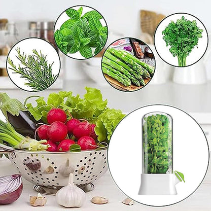 Herb Container - Herbs - Herb Jars - Fresh Keeper - Herb Vanilla Storage Container - BPA-Free - Keep Fresh - V1188-MS101-01539-1