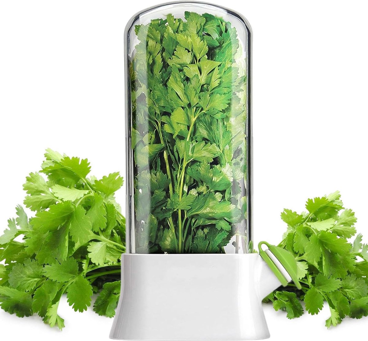 Herb Container - Herbs - Herb Jars - Fresh Keeper - Herb Vanilla Storage Container - BPA-Free - Keep Fresh - V1188-MS101-01539-1