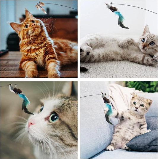 Toy Fishing Rod for Cats - Cat Play Rod - Cat Fishing Rod - 2 Extra Spring Heads - With Suction Cup Base - V1188-MS101-01601-1