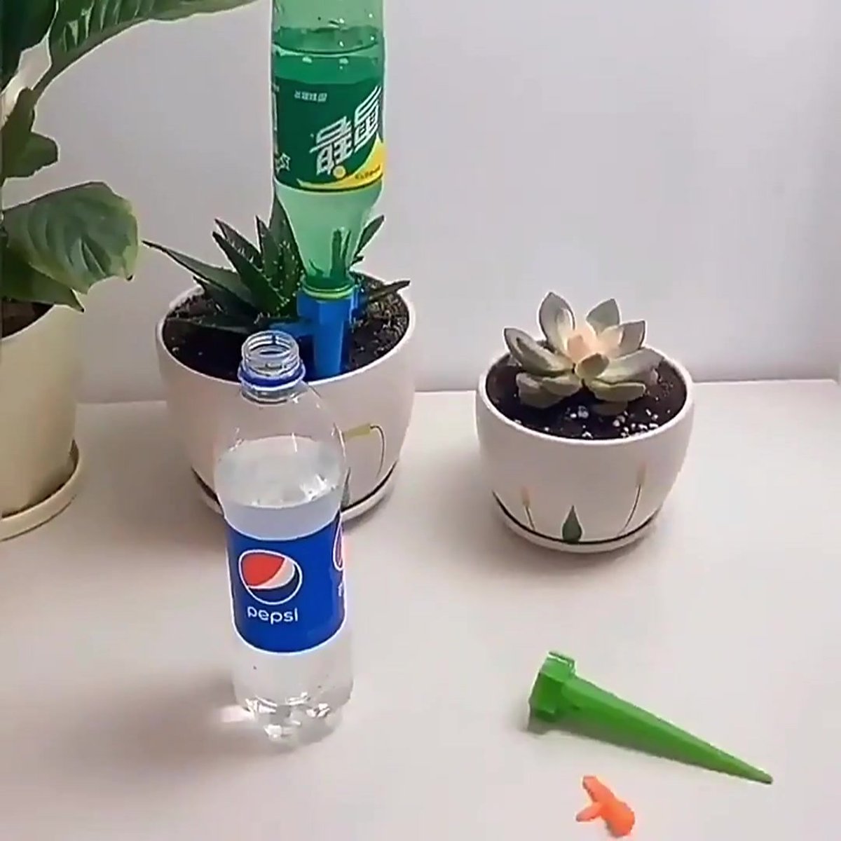 40x Water Dripper - Plant Watering System - Drip System - Watering System - Watering System - Water Ball - V1188-MS101-01648-1