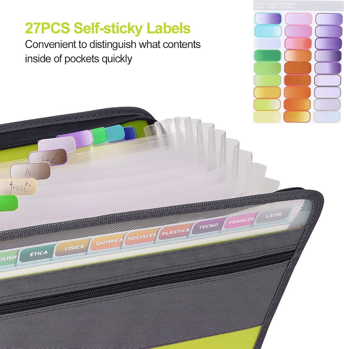 Project Folder - A4 - Foldable File Folder with Tabs - 13 Compartments - Storage Folder/Sorting Folder - V1188-MS101-01684-1