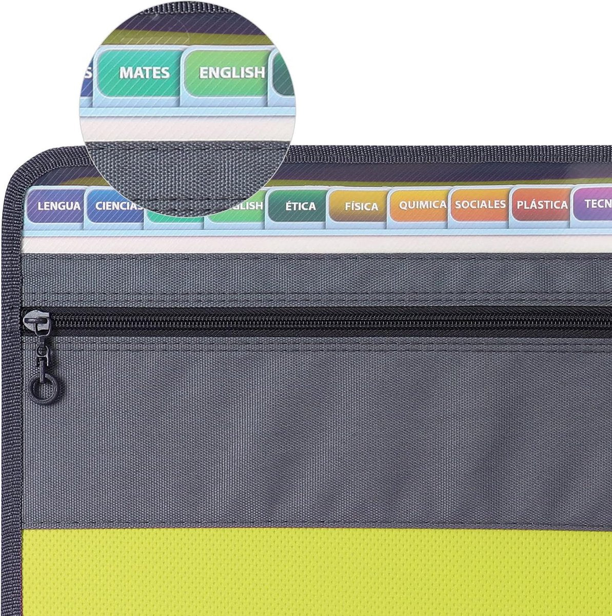 Project Folder - A4 - Foldable File Folder with Tabs - 13 Compartments - Storage Folder/Sorting Folder - V1188-MS101-01684-1