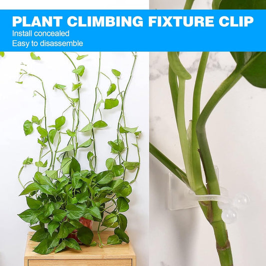 Plant Clips - Plant Clips - Climbing Plant Guide - Tie Up - Plant Support - Garden Clips - Cable Organizer - V1188-MS101-01766-1