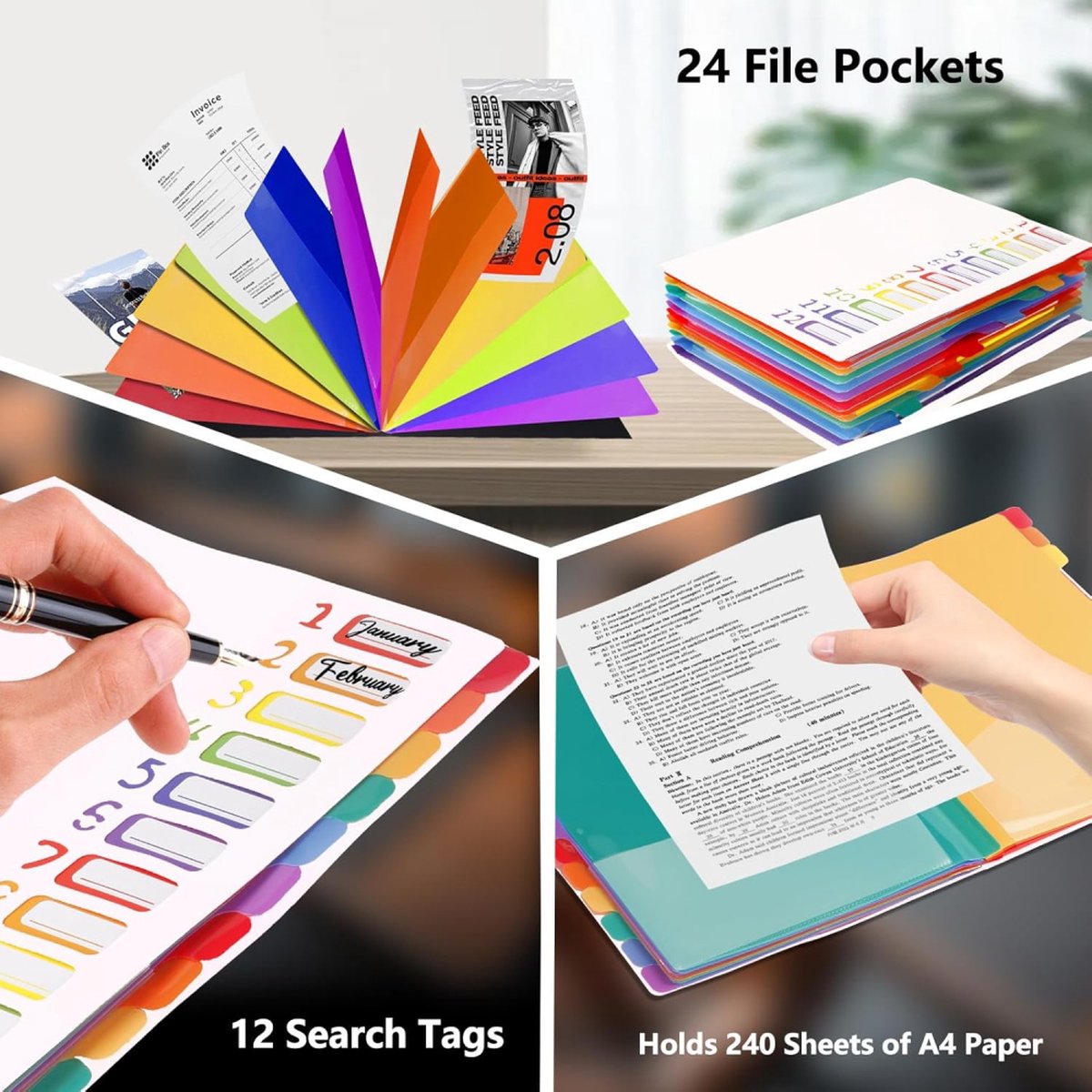 A4 Expandable Project Folder - A4 Sorting Folder - 12 Compartments - File Folder with Tabs - Compartment V1188-MS101-01841-1