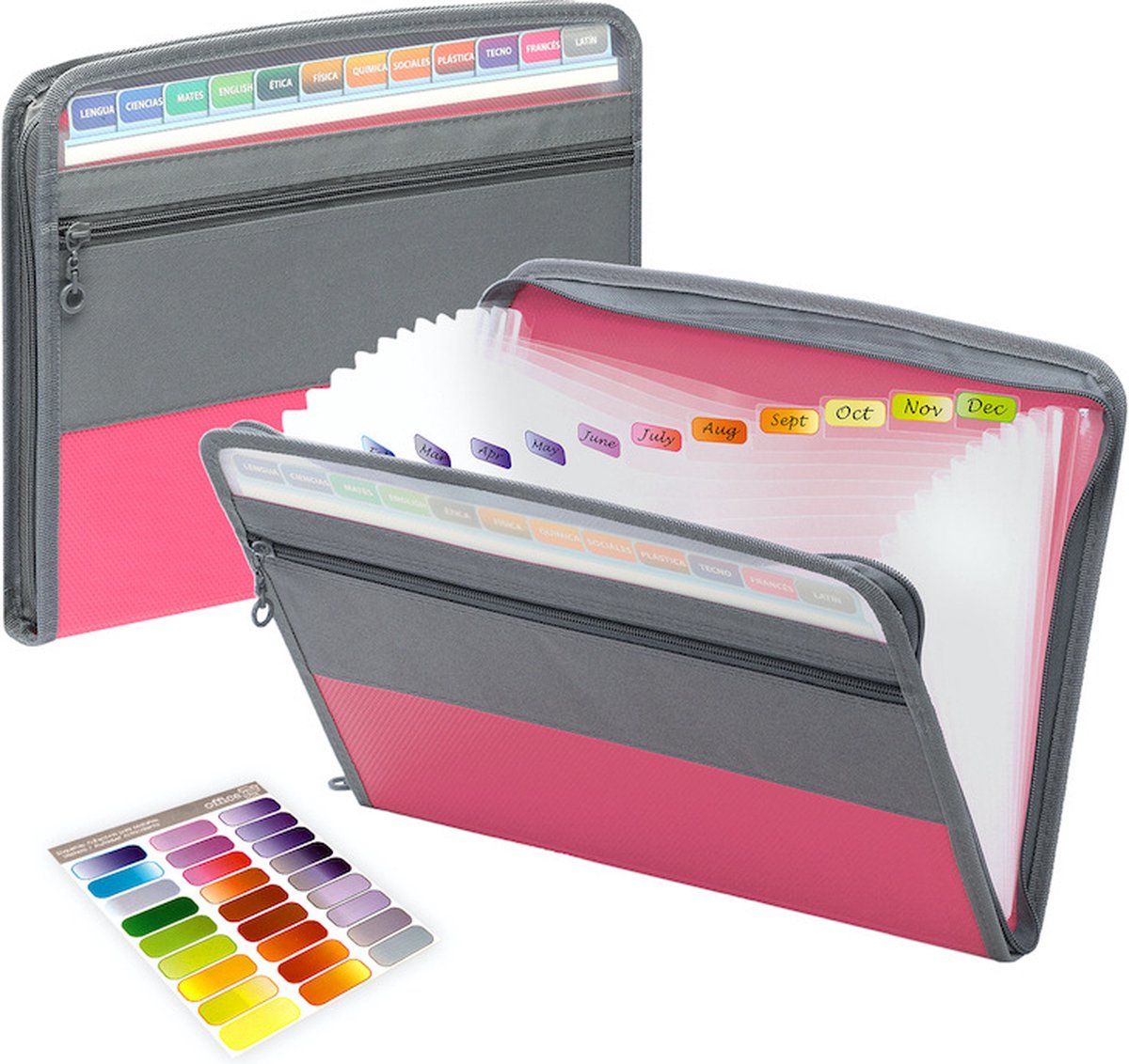 Project Folder - A4 - Foldable File Folder with Tabs - 13 Compartments - Storage Folder/Sorting Folder - V1188-MS101-01869-1